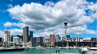 CBD/Britomartの様子