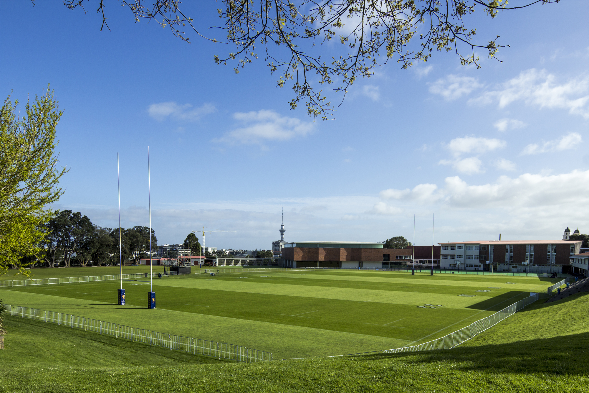 Auckland Grammar School (オークランドグラマースクール) の運動場