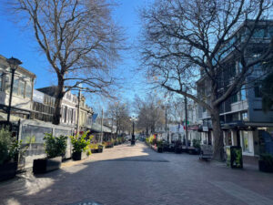 ネルソンの街並み