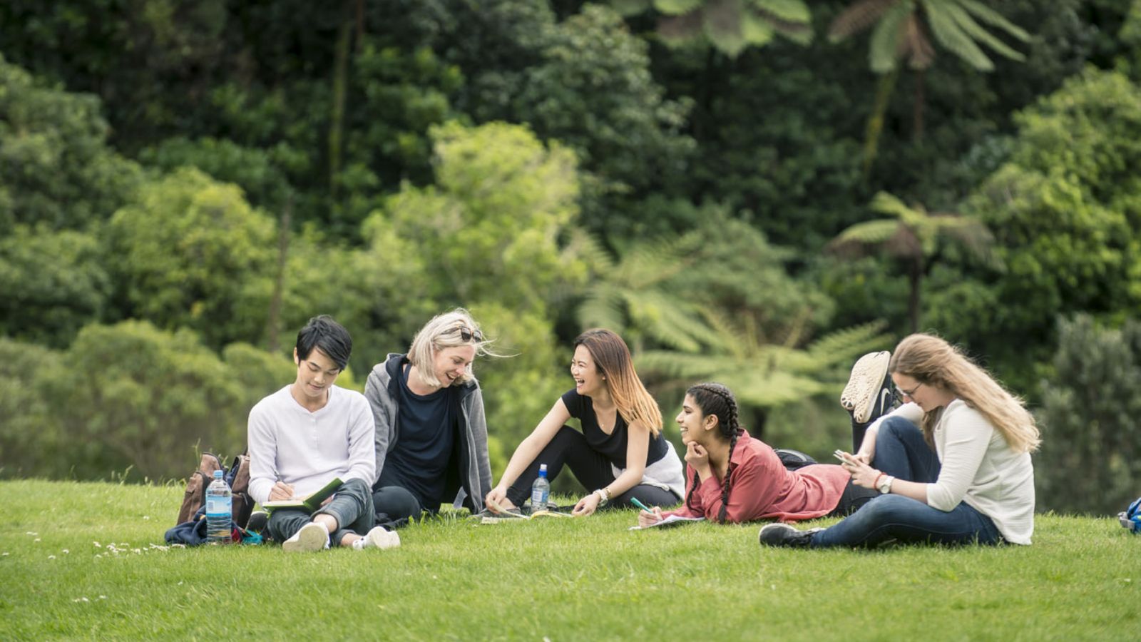 Victoria University of Wellington (ヴィクトリア大学ウェリントン) の芝生で休む学生