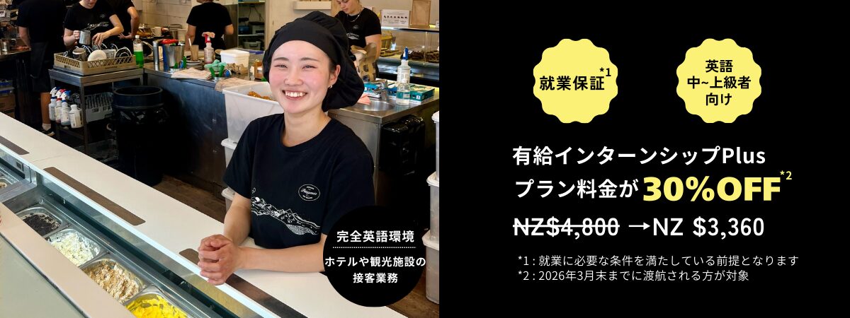 インターンシップplus夏料金バナー