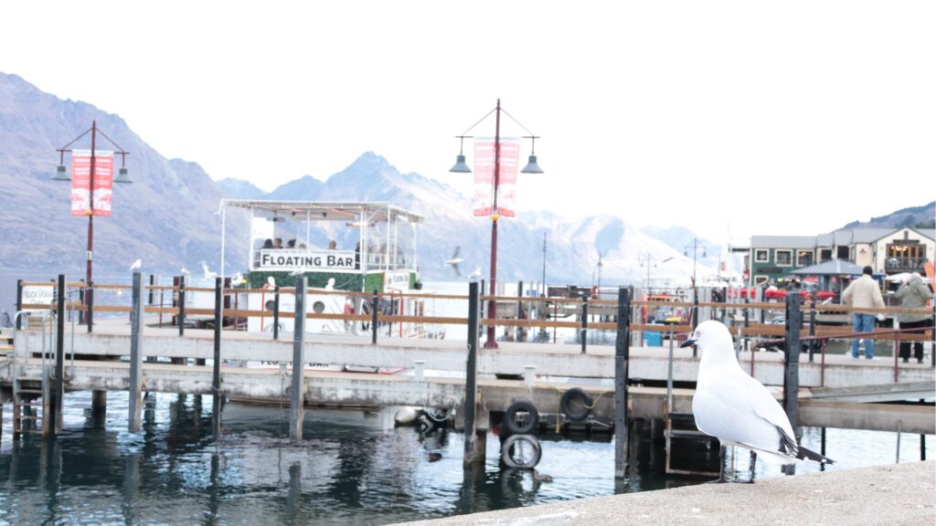 ニュージーランドの自然と都市