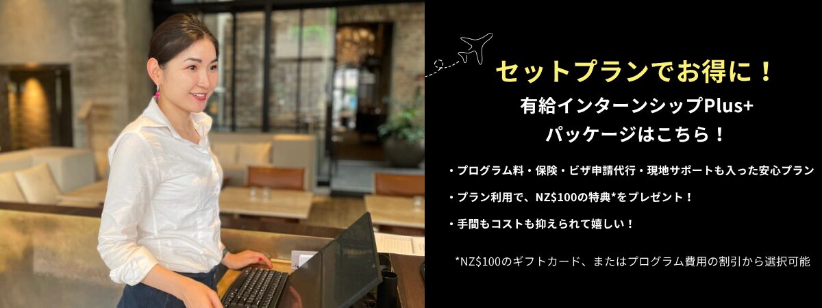 有給インターンシップ plus フライヤー