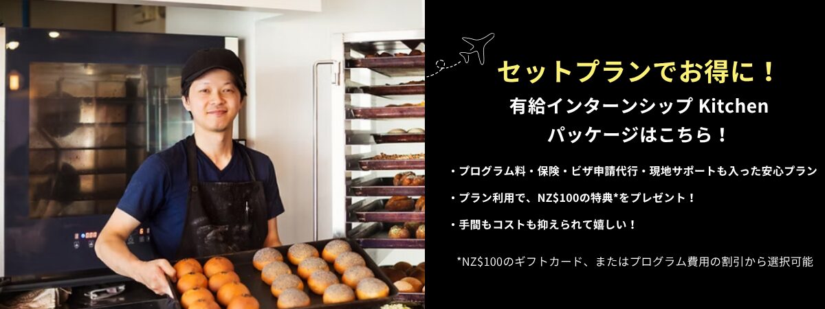 有給インターンシップ フライヤー