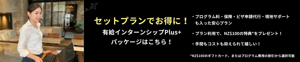 有給インターンシップ plus フライヤー