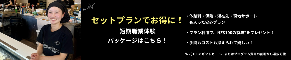 短期職業体験 フライヤー
