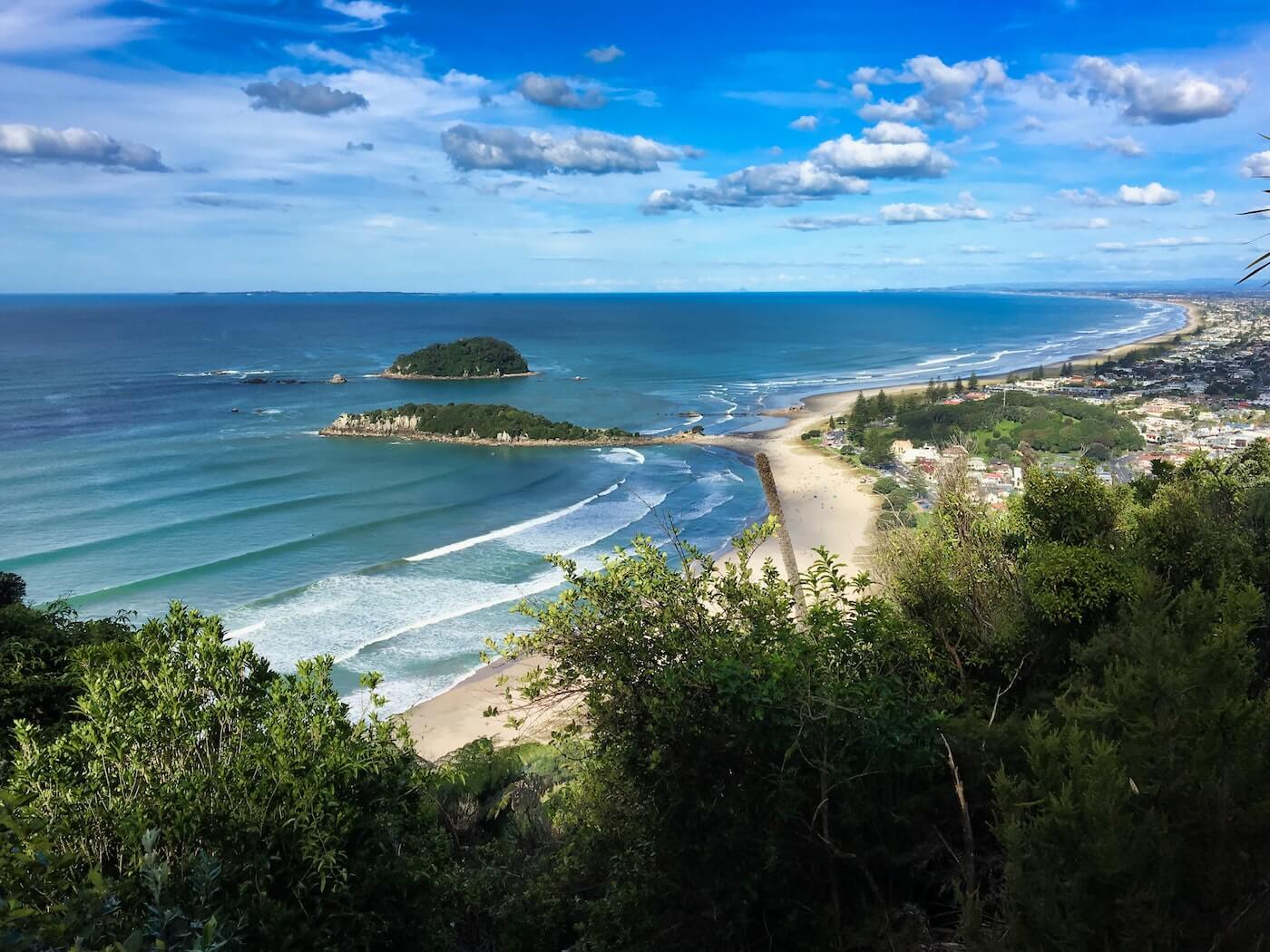Mount Maunganui Language Centre キャンパス周辺の風景
